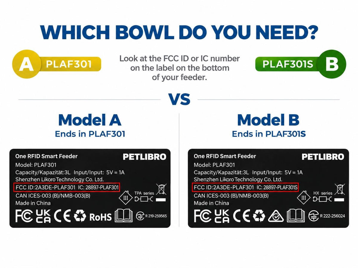 PetLibro® One RFID Feeder ForwardEase Angled Bowl