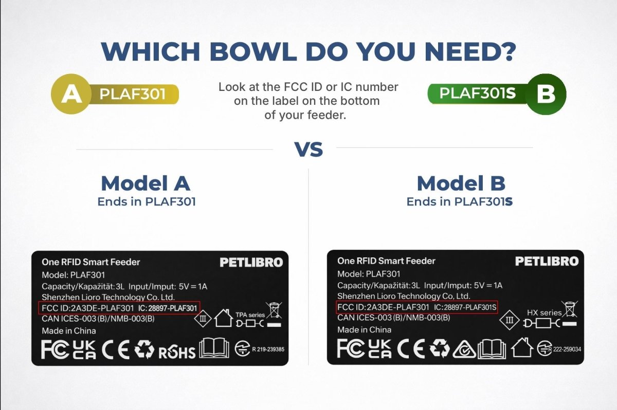 PetLibro® One RFID Feeder Slow Feed Bowl - Purrposeful Prints
